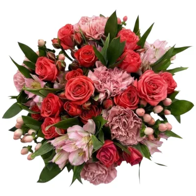 Believe in Blooms